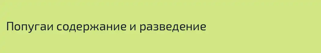 Попугаи содержание и разведение
